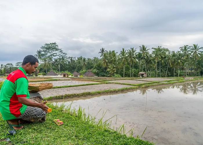 Tunjung Putih ヴィラ