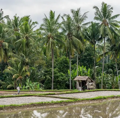 ヴィラ Tunjung Putih ウブド